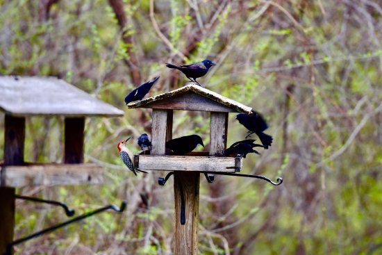 Minnesota Valley National Wildlife Refuge